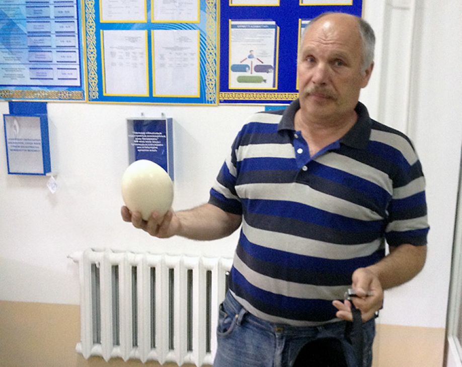 Когда бизнес из яйца вылупится?