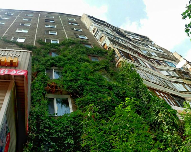 И красивый, и ужасный