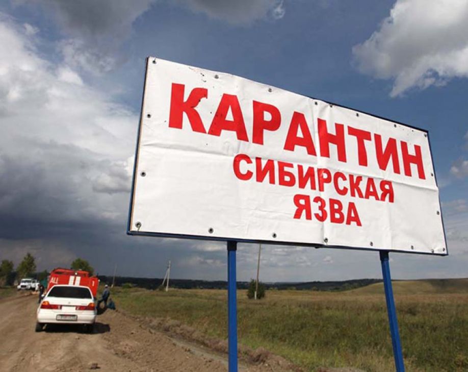 Быстро нашли