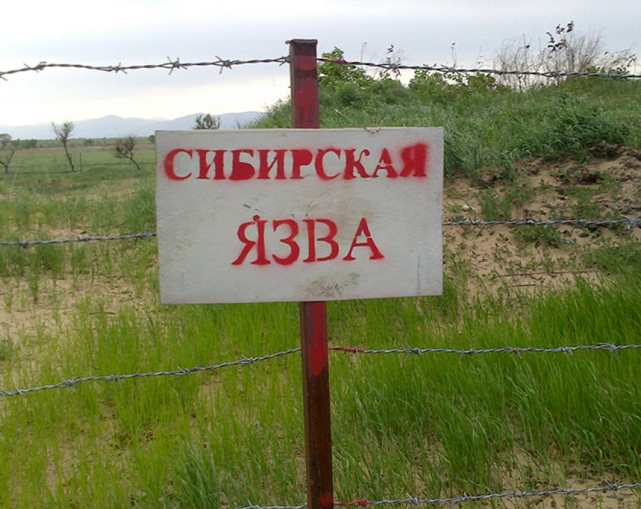 Язва довела до суда