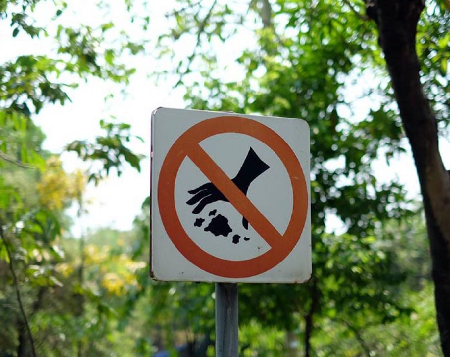 «Подснежники», да не те!