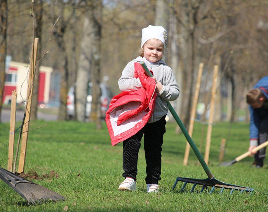 Субботники отменяются — «Наша жизнь». Новости Павлодара и области