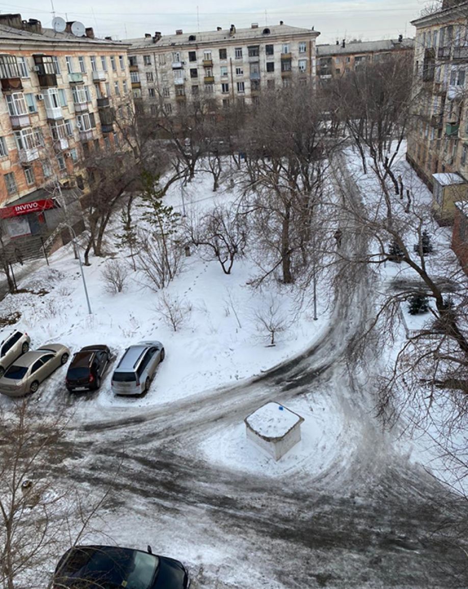Деревья или офисы: народ против застройки