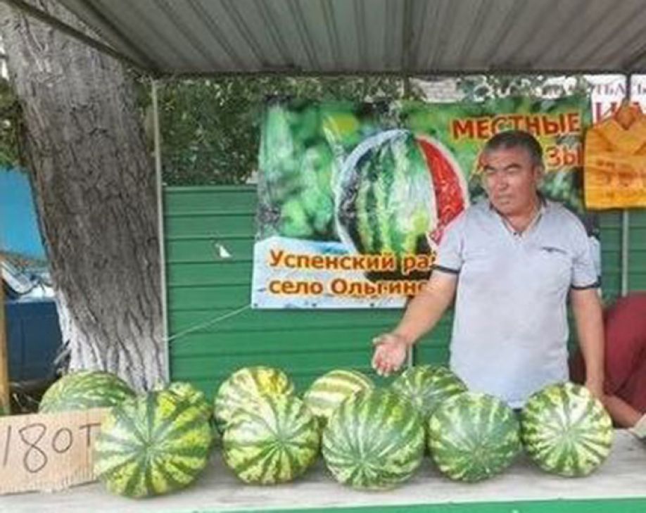 Первые арбузы из Успенки