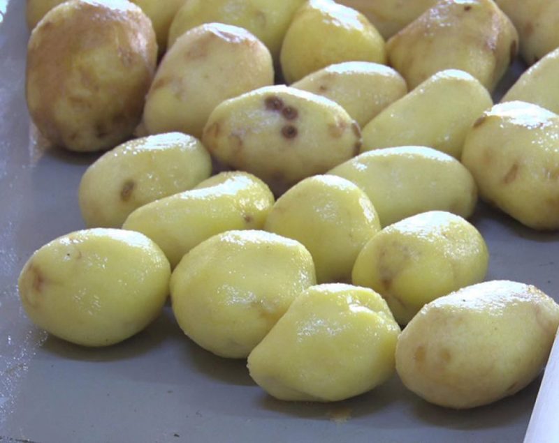 Хрустящая картошечка из Павлодара