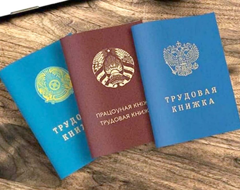 Трудовым мигрантам положена пенсия на территории ЕАЭС
