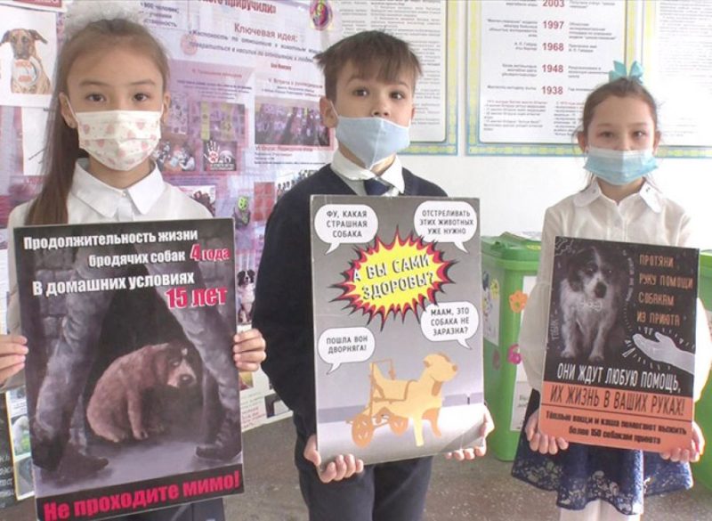 Павлодарские школьники собрали корм бродячим животным