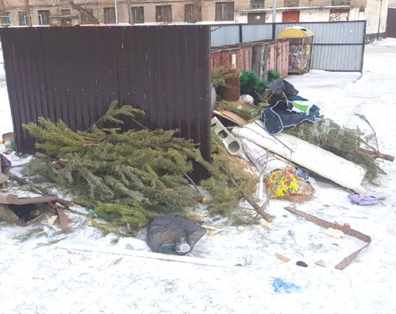 Варварским назвали биологи способ утилизации новогодних елок в Павлодаре