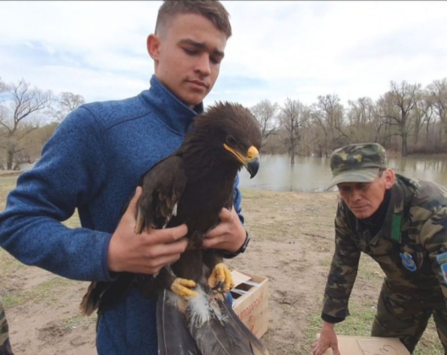 Вернули в родной дом