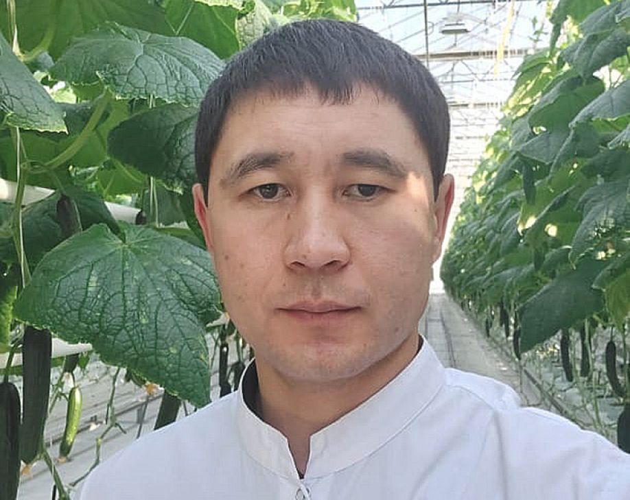 Тепличному комплексу в Аксу исполняется 5 лет
