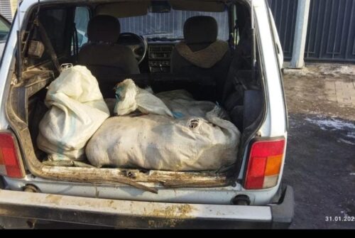 У браконьера из Экибастуза изъяли пять мешков с карасями