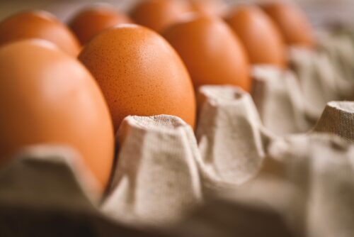 Цены на яйца в Павлодарской области снизились на 20%