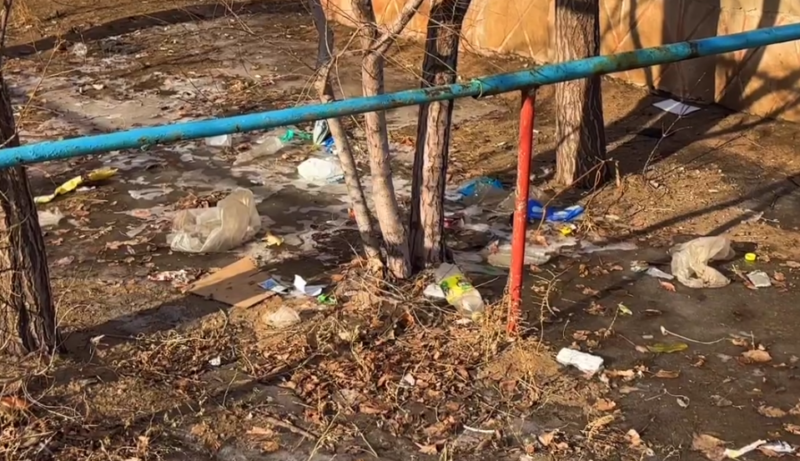 Обслуживающие организации Павлодара оштрафовали за неубранный мусор