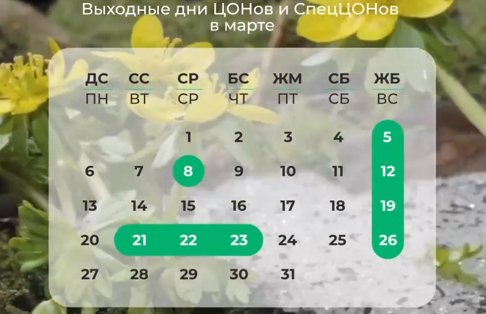 Госкорпорация: ЦОНы не будут работать 8, 21, 22 и 23 марта