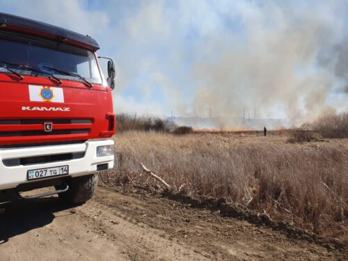 Почти двое суток в Павлодаре полыхали пойменные пожары
