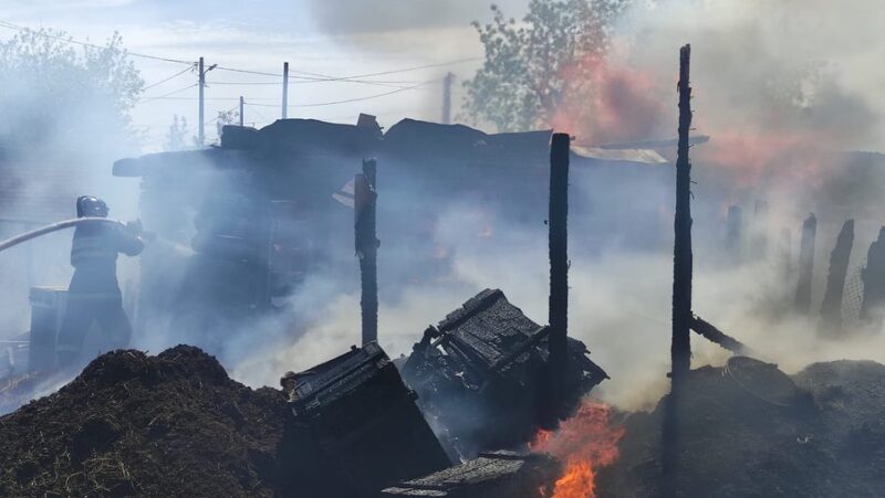 В Экибастузе во дворе частного дома сгорел сарай