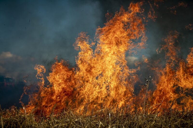 В Павлодарской области увеличилось число лесных пожаров