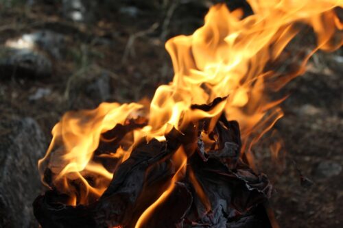 В Павлодарской области сохраняется высокая пожарная опасность