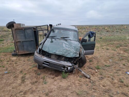 В ДТП на трассе Экибастуз-Майкаин пострадали два человека и погибла лошадь
