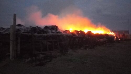 В Актогайском районе сгорело 150 тонн сена