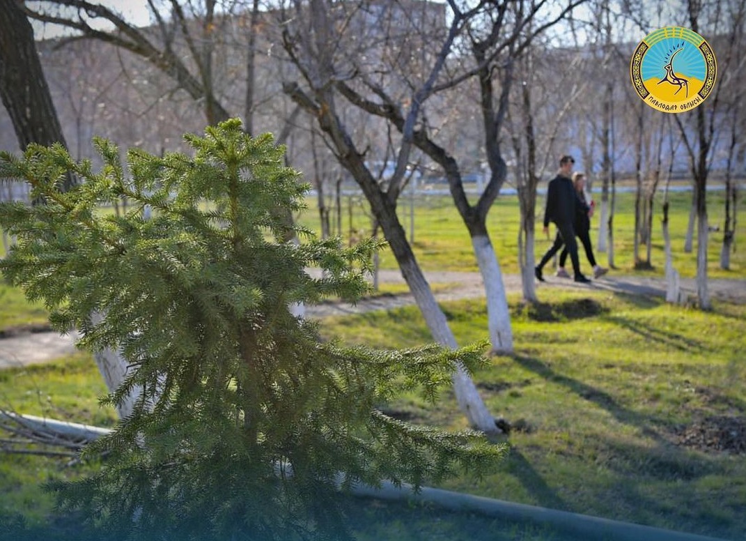 Акимату Аксу запретили сдавать в аренду земли городского парка