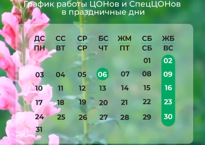 Павлодарские ЦОНы не будут работать 28 июня и 6 июля