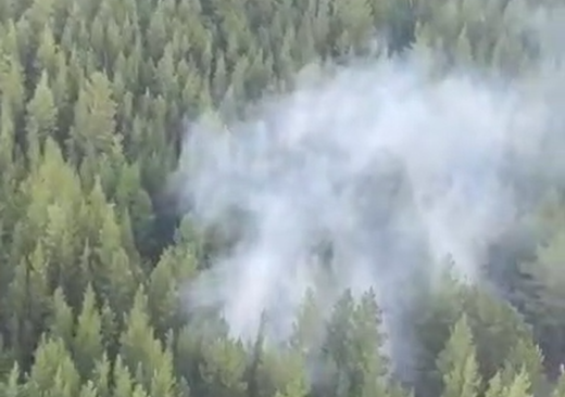 Пожарные локализовали возгорание сухих деревьев в "Ертіс орманы"