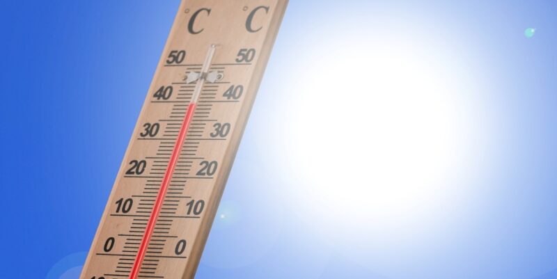 До +42°C ожидается в Павлодарской области