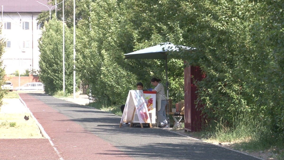В парках Павлодара появится больше точек по продаже мороженого и напитков