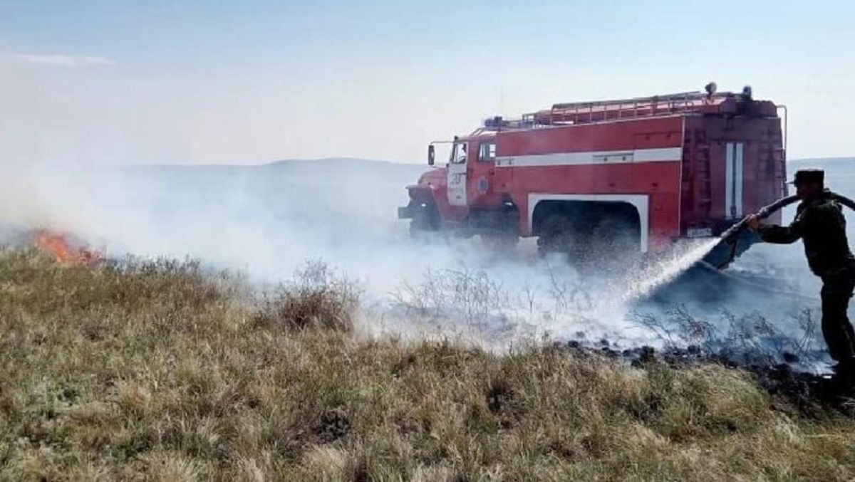 В резервате «Ертіс орманы» загорелась сухая трава