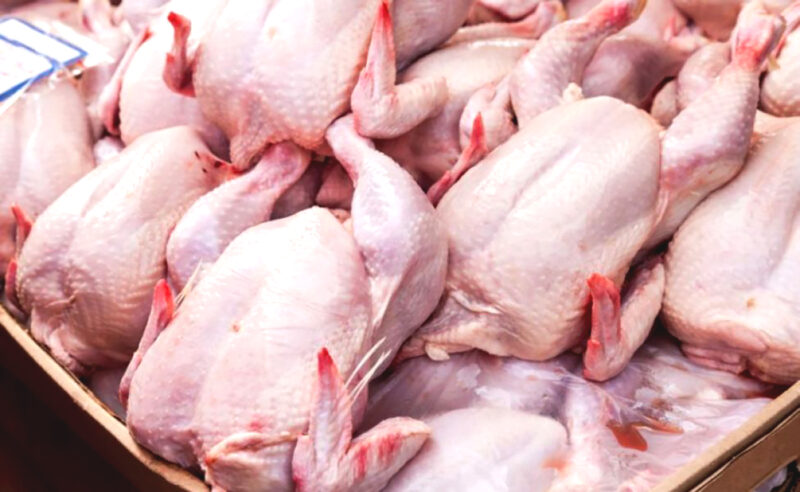 Кто в Казахстане лоббирует мясо российских птиц со следами 100 уколов