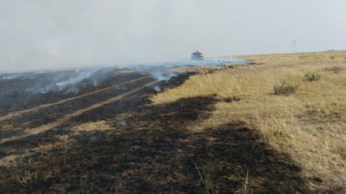 Крупный пожар потушили в сельской зоне Экибастуза