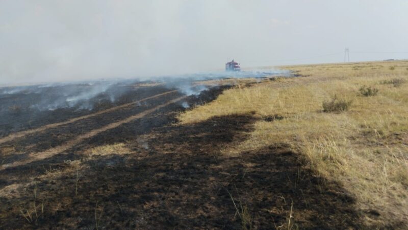 Крупный пожар потушили в сельской зоне Экибастуза