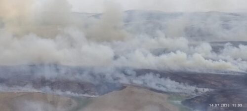 Пожар в Баянаульском районе перекинулся на национальный парк