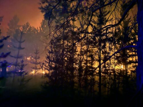 Более трехсот человек тушат пожар в резервате «Ертіс орманы»