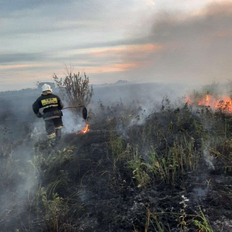 Пожар возник в районе Аккулы