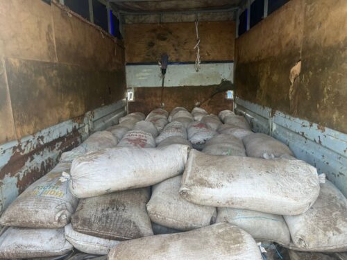 В «Газели» павлодарца нашли 2,5 тонны цисты рачков артемия салина