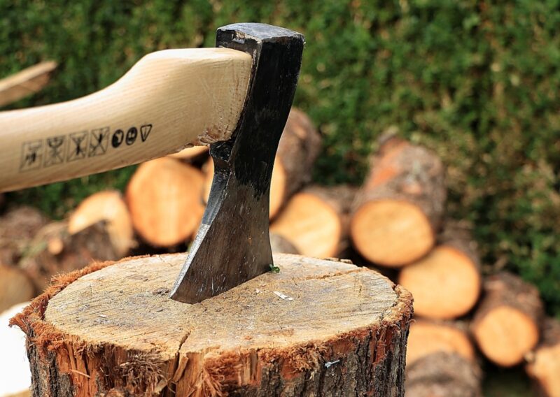 Кубометр дров в павлодарских лесничествах можно купить за три тысячи тенге