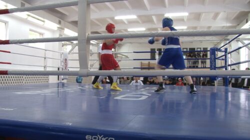 В Павлодаре стартовал чемпионат области по боксу