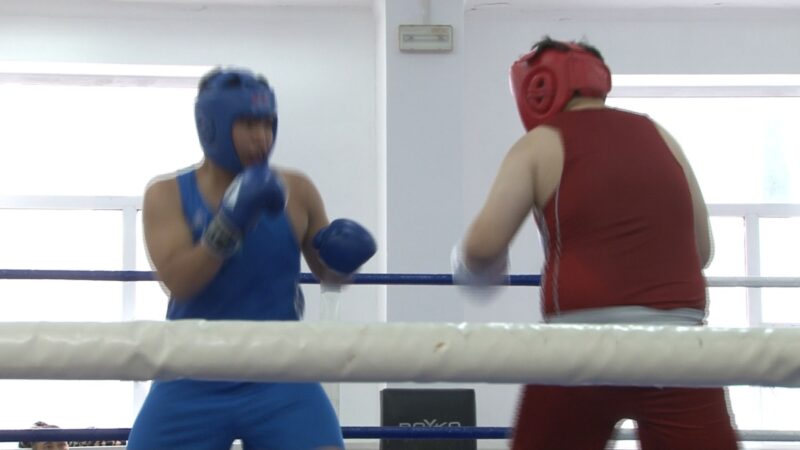 В Павлодаре определили чемпионов области по боксу среди молодежи