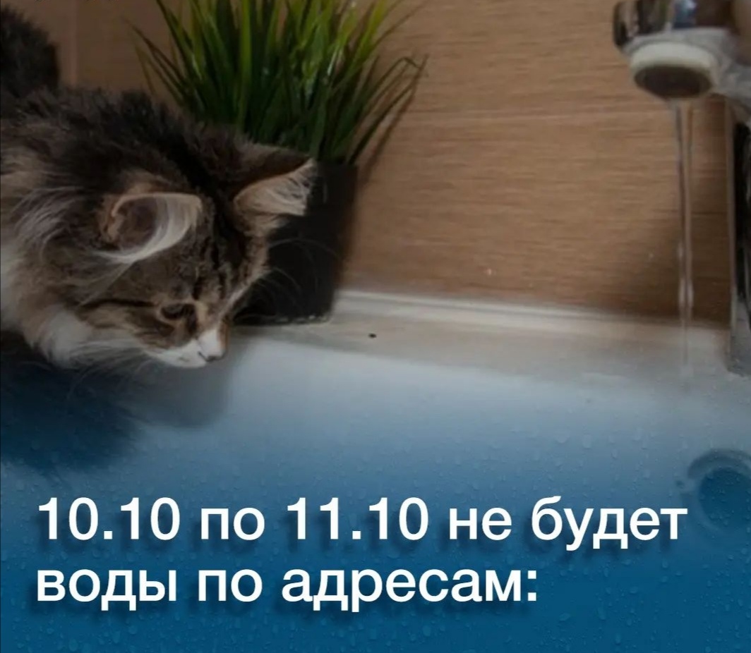 На сутки останутся без воды некоторые дома в Павлодаре — «Наша жизнь».  Новости Павлодара и области