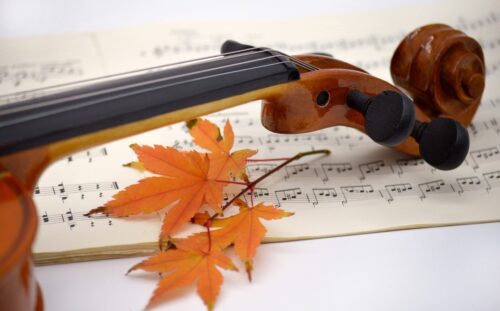 В Доме-музее Шафера пройдет концерт «Осенние мелодии»