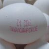 В СПК «Павлодар» уточнили места продаж дешевых яиц