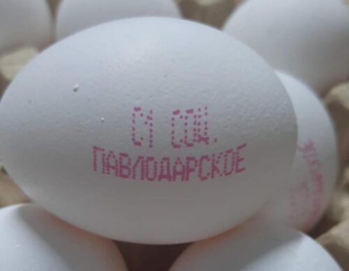 В СПК «Павлодар» уточнили места продаж дешевых яиц
