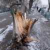 Последствия урагана в Павлодарской области устранят до 10 декабря