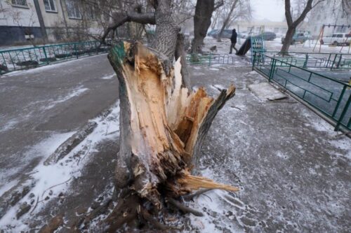 Последствия урагана в Павлодарской области устранят до 10 декабря
