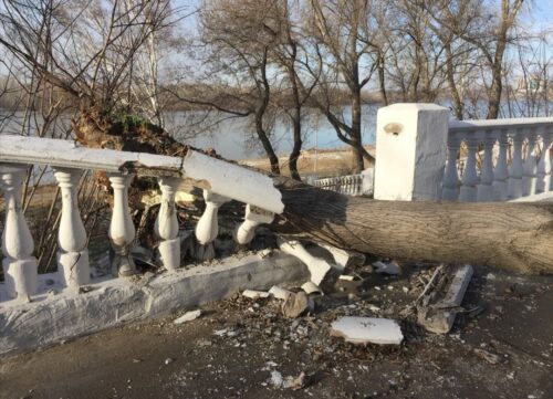 Клен упал и разрушил знаменитую балюстраду на набережной Павлодара