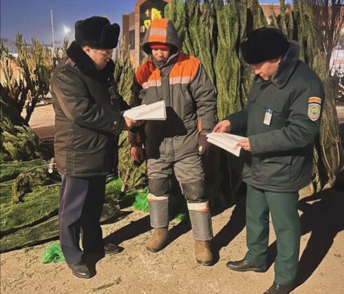 В Павлодаре проверяют точки продажи новогодних елок