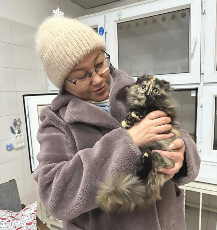 Необычная кошечка с обмороженными ушками нашла семью в Павлодаре