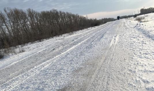 Павлодарские волонтеры потребовали очистить сельскую дорогу от снега и наледи